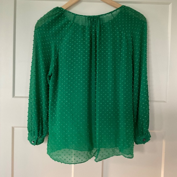 J.Crew Factory Green Sheer Chiffon Swiss DotBlouse Top 3/4 sleeve - Picture 2 of 8